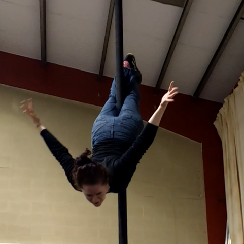 Up Side Down Circus - Chinese pole
